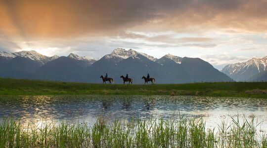 Illustratie voor: National Geographic’s favoriete foto’s