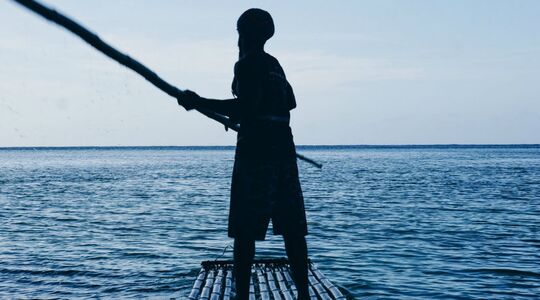 op vakantie naar jamaica