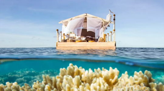 airbnb vlot koraal