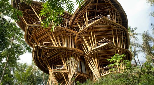 man man hotels azie