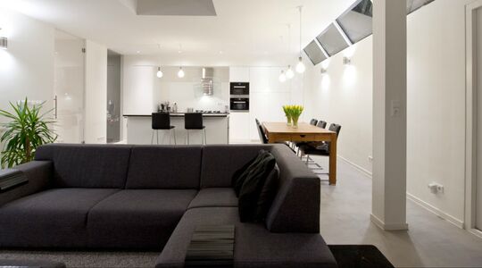 Illustratie voor: Haarlemse garage omgetoverd tot stijlvol loft