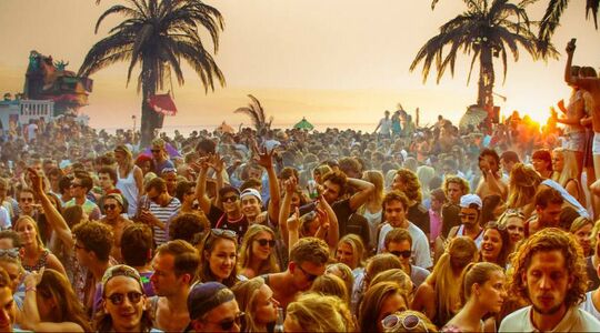 cartel & plak at the beach
