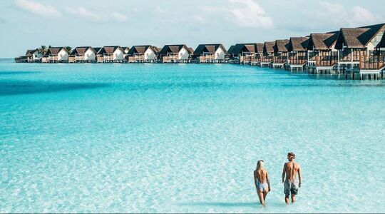 Illustratie voor: De wetenschap zegt: je moet op vakantie