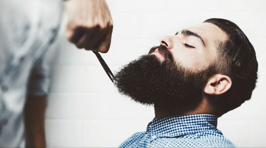 Illustratie voor: Een terugblik op 2016: de baard