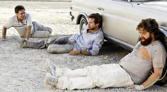 katers erger met de leeftijd MAN MAN