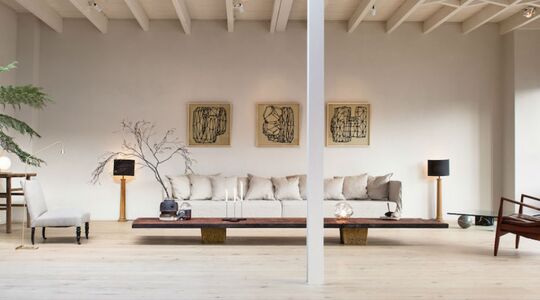 Illustratie voor: Dit prachtige loft staat in hartje Amsterdam