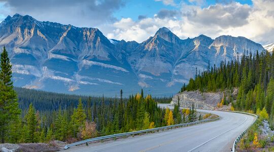 Illustratie voor: Reislust #8: Roadtrippen, skiën en beren spotten in Canada