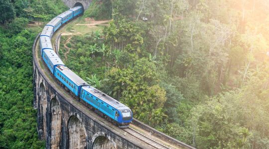 Illustratie voor: Reislust #11: low-budget reizen door Sri Lanka