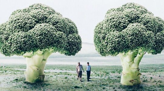 Illustratie voor: Deze 18 jarige kunstenares maakt de tofste surrealistische kunst