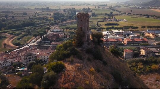 toscane man man