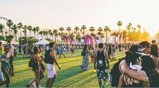 Illustratie voor: Camp Moonrise: een boutique festival op de Veluwe