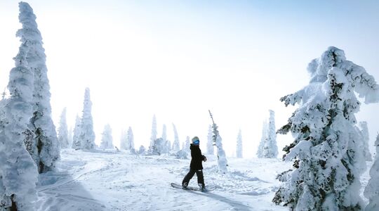 valle daoste wijnen italie
