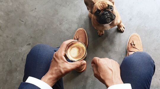 Illustratie voor: Waarom elke man een hond aan zijn zijde moet hebben