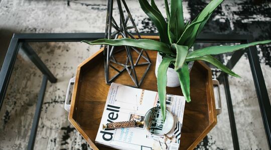 Illustratie voor: Zo houd jij je planten in leven