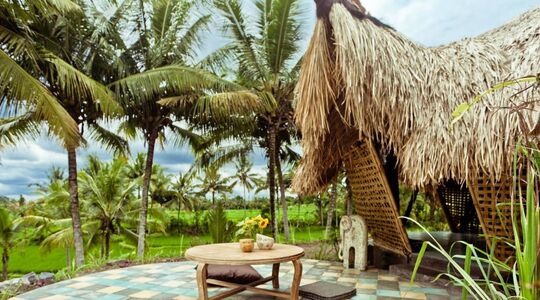 Airbnb wishlist MAN MAN