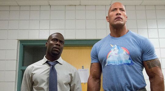 Gedrag beïnvloed door lengte MAN MAN