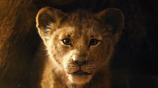 The Lion King MAN MAN