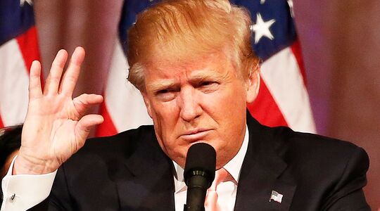 Wat is de gemiddelde penislengte?