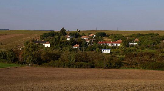 festival in hongarije MAN MAN