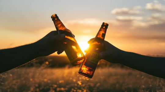 bieraanbiedingen week 15