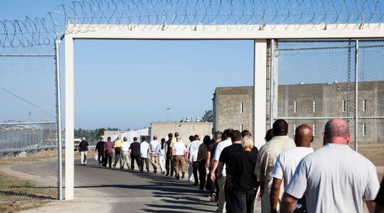 rotten tomatoes 100 score films