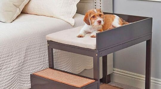 bed voor huisdieren
