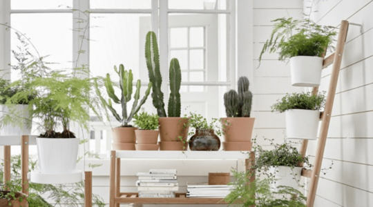 interieur trend 2020
