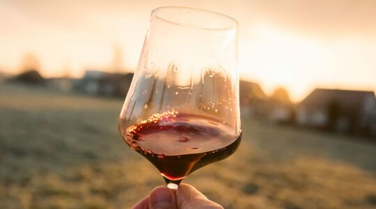 lekkere alcoholvrije wijnen