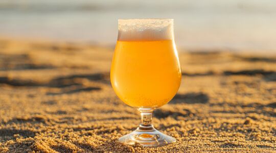 lekkere radlers bieren zomer fris
