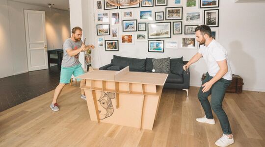 pingpongtafel mini binnen