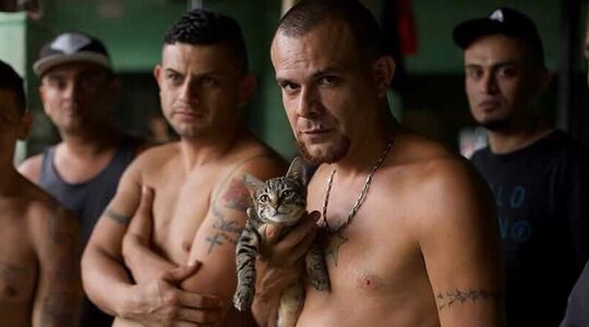 Inside the World's Toughest Prisons netflix docu