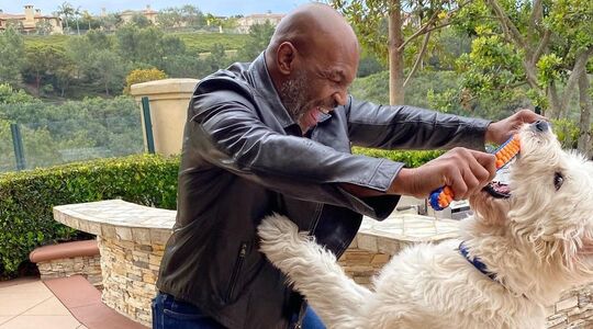 Mike Tyson vermogen