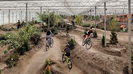 mountainbike hal