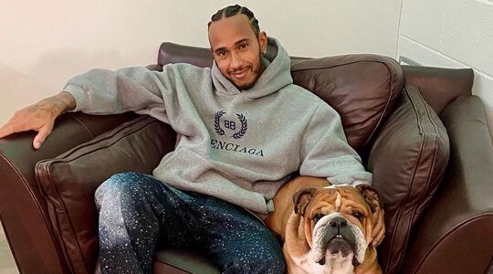 lewis Hamilton races gewonnen