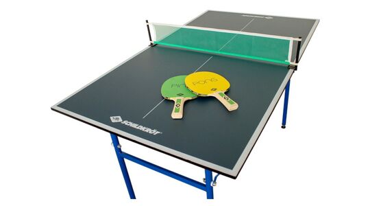 goedkope tafeltennistafel voor binnen bestellen Lidl