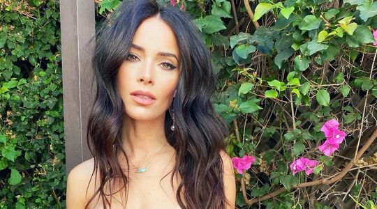 Suits actrice abigail spencer