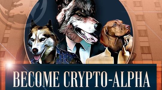 Wolves of Wall Street crypto