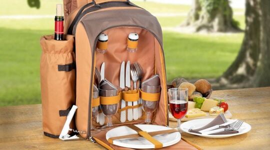 picknick rugzak Lidl te koop