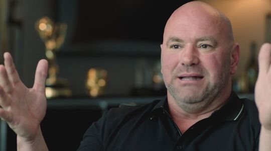 Vermogen Dana White