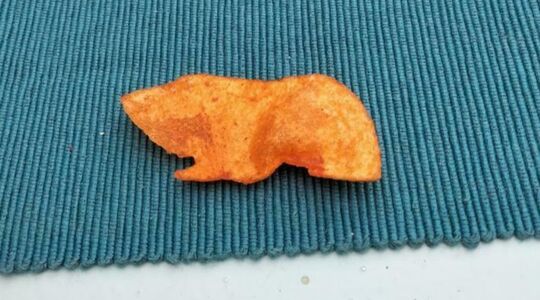 cavia chips Marktplaats verkocht