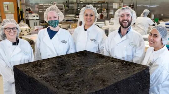 De grootste wiet brownie ter wereld staat nu te koop