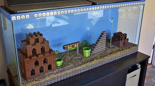 super mario vissenkom aquarium grappig