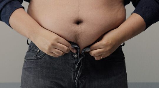 buikvet onjuistheden fabels feiten