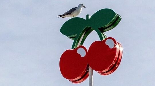 pacha club ibiza