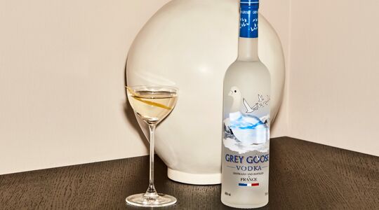 Grey Goose vodka cocktails