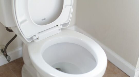 niet doorspoelen wc