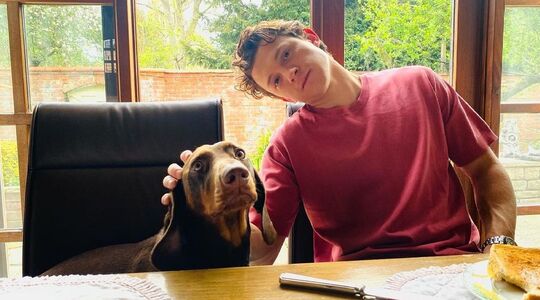 tom holland acteur auto collectie