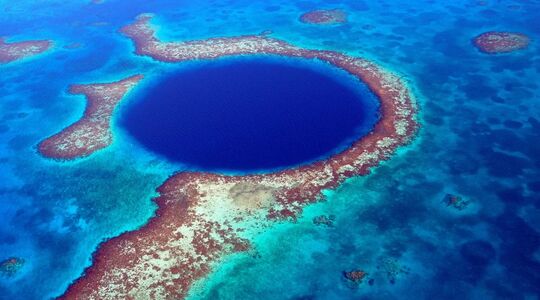 Duikers bereiken eindelijk de bodem van de Great Blue Hole en wat ze dan vinden...