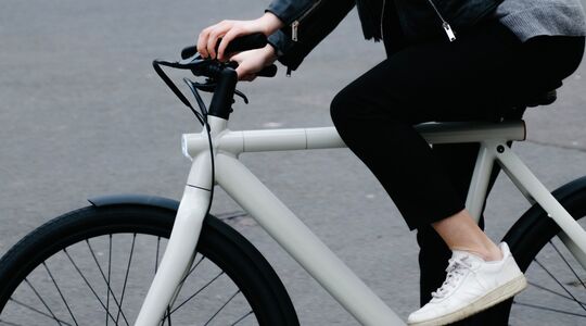 diefstal elektische fiets ebike voorkomen