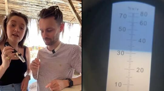 hoeveel alcohol zit in er drankjes van resort